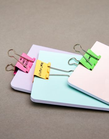 Bershka metallic clips $190