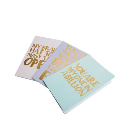 Bershka notebook set $290