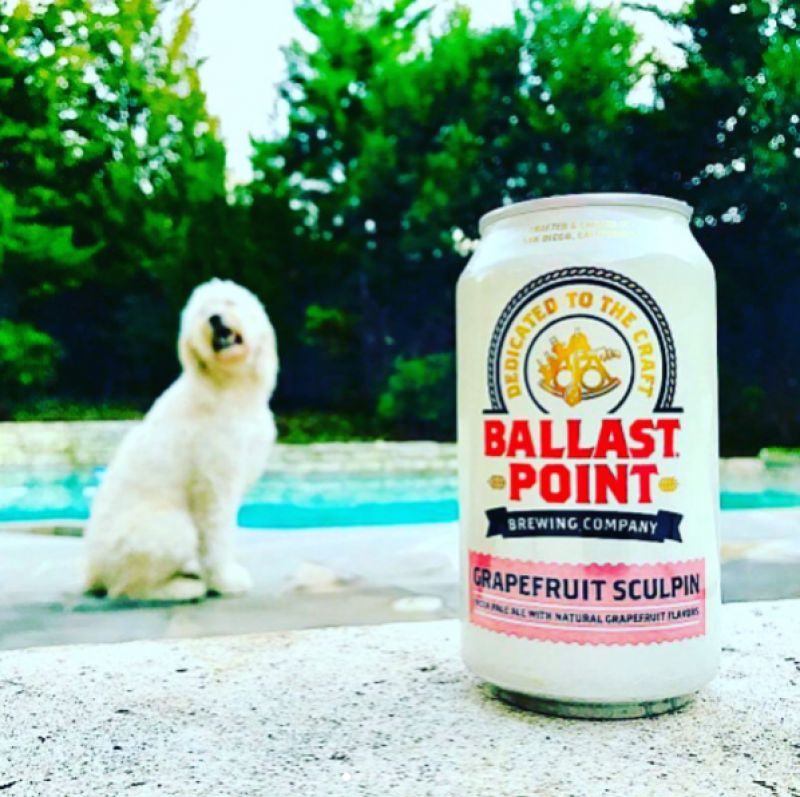 葡萄柚大頭魚IPA