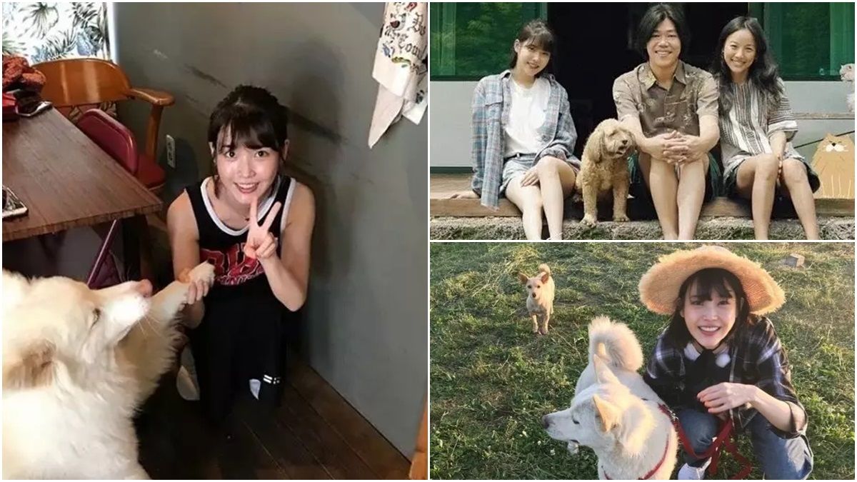 看了就會被國民妹妹IU圈粉!來到濟洲島《孝利家民宿》打掃工作、料理廚藝、瑜珈運動…樣樣都得做的IU實在太萌啦