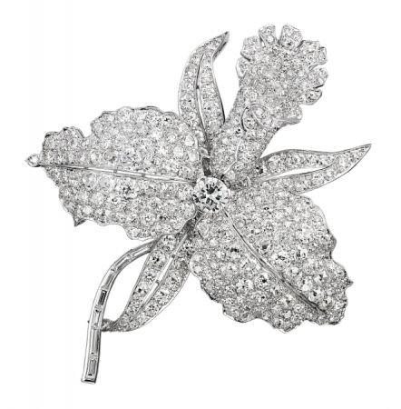 Orchid 胸針,1927年。