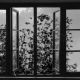 《24格》(24 Frames) 劇照