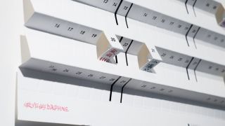 做作的Daphne,多年來致力於教授西洋書法課程以外,更以直面大眾的書法作品影片為出發點,希望寫字不再是曲高和寡難以理解的藝術,而是以人人都能學的方式,展示寫字藝術的脈絡。在年曆創作之中,「節氣」是最貼近臺灣農業社會作息的象徵,在年曆上標註節氣,彷彿就能預見今年的春夏秋冬。