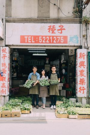 新興農藥種子店