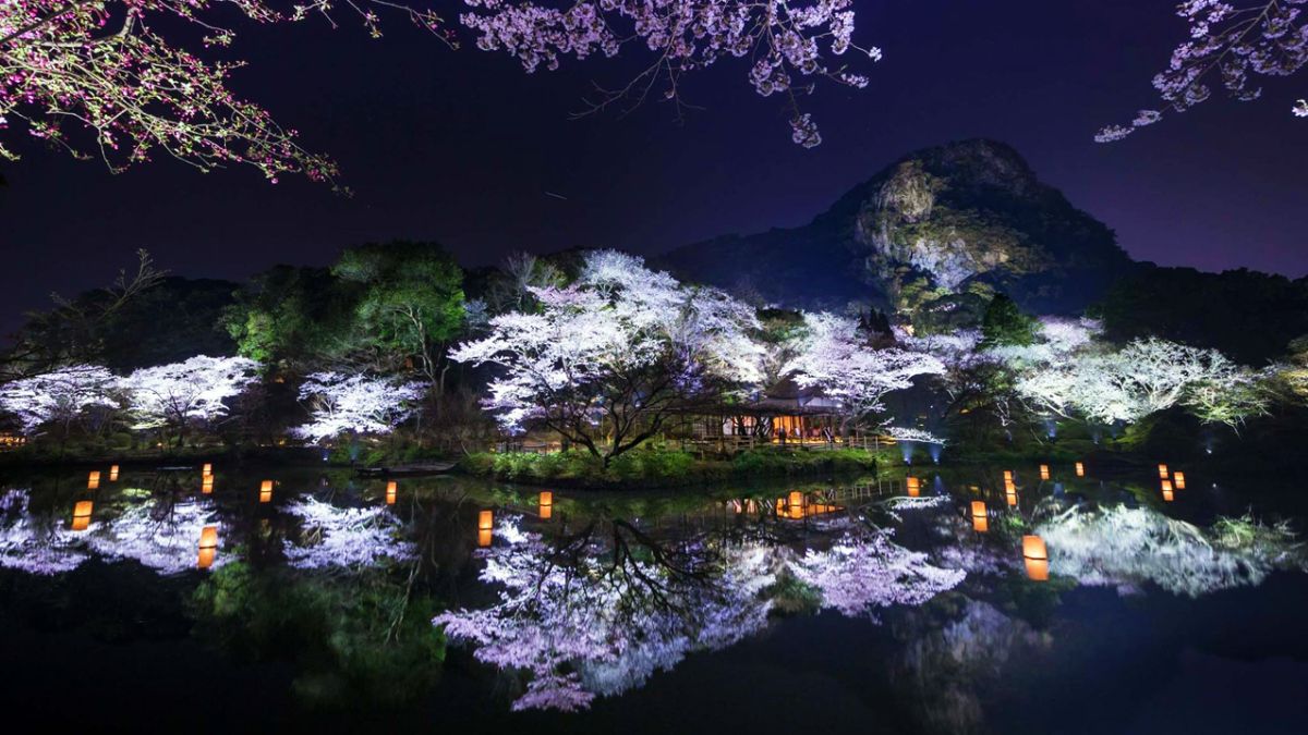走進充滿禪意的夜世界!teamLab打造,日本九州「御船山樂園光之祭」,美不勝收的視覺體驗!