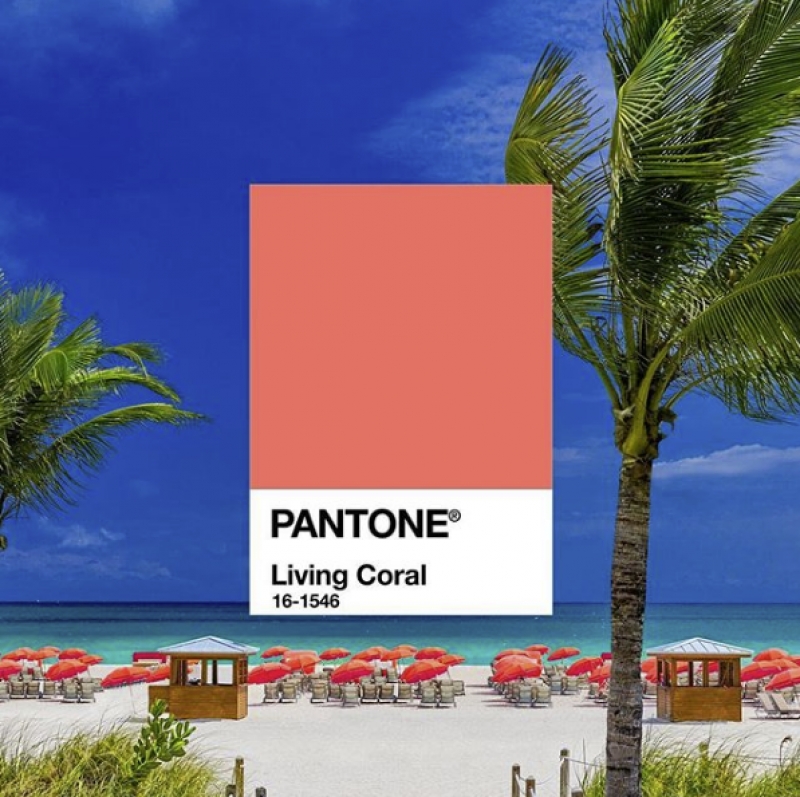 准备好迎接2019的年度色彩了吗？充满活力且不失柔和的「珊瑚橘」正是Pantone指定色彩！