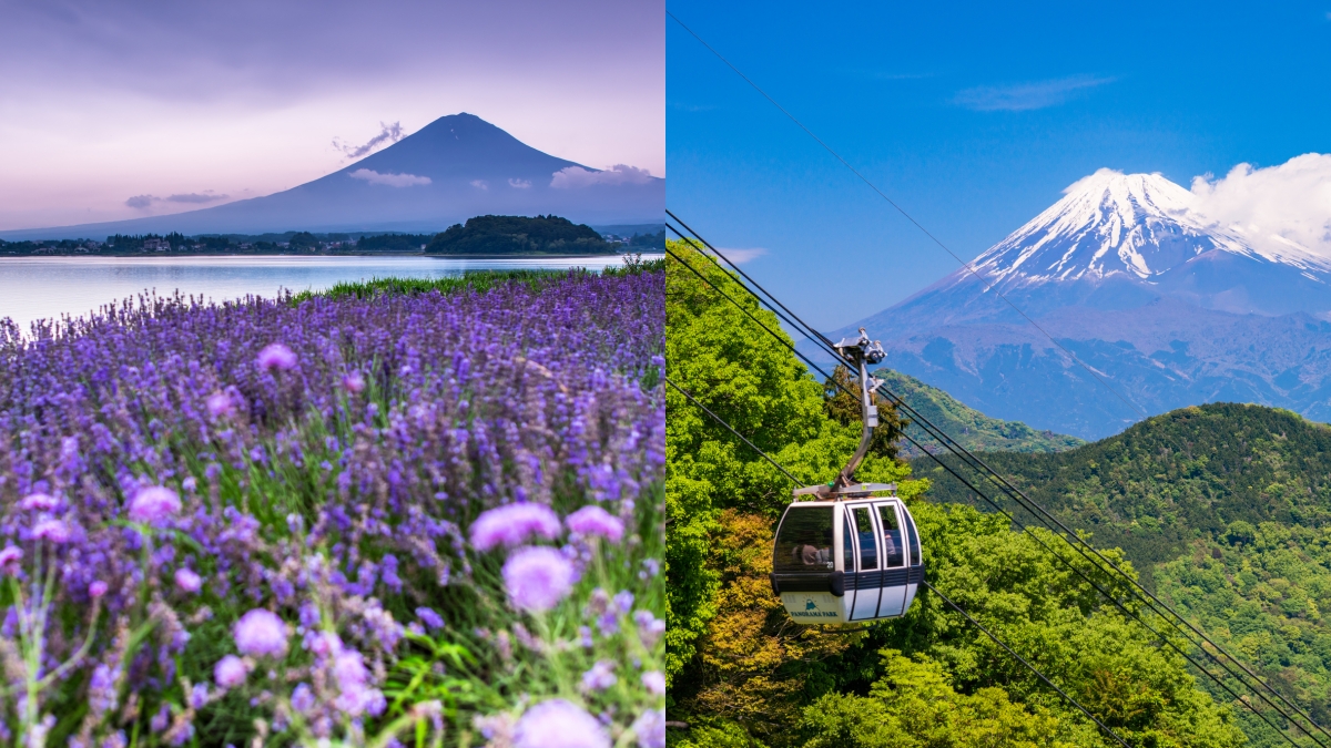 玩咖懶人包 爬富士山必get五大人氣景點 河口湖香草節 交織成紫色仙境 全景纜車360度俯瞰聖山美景 Marie Claire 美麗佳人