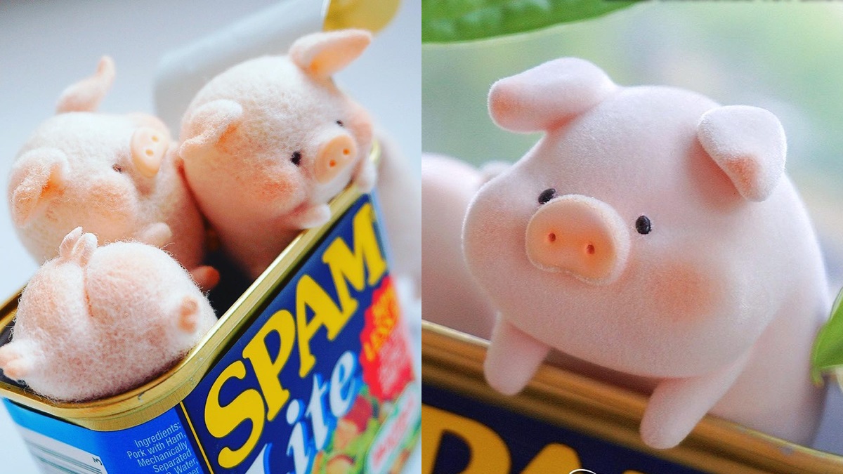 是誰住在罐頭裡？超萌的「罐頭豬LULU」粉嫩模樣超欠收藏