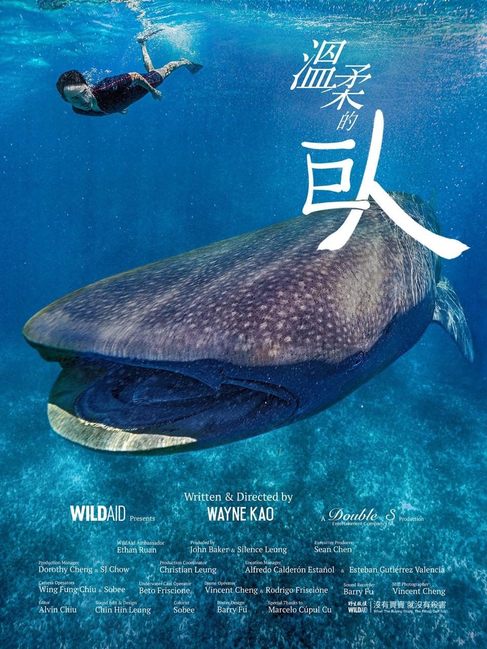 阮經天拍攝《溫柔的巨人》為守護鯨鯊發聲！與鯨鯊共遊珍貴影像曝光，呼籲大家拒吃魚翅