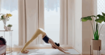 Photo/布朗熊@小紅書