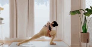 Photo/布朗熊@小紅書