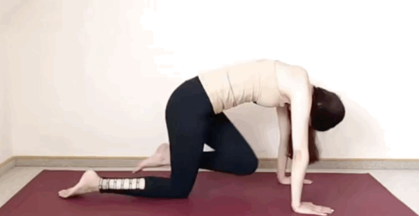 Photo/Sheryl@小紅書 Photo/Sheryl@小紅書