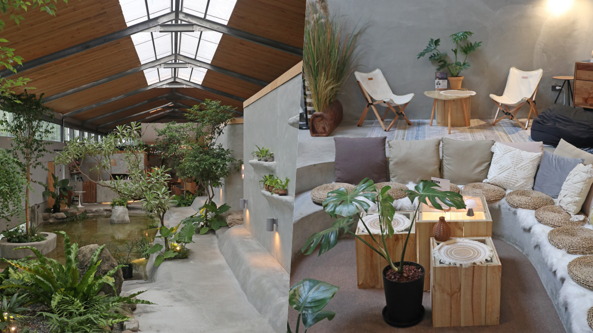 週末セール30%OFF【オリジナル品】深い茂る熱帯『神窟』小雨林のバニヤン流木 週末セール30%OFF【オリジナル品】深い茂る熱帯『神窟』小雨林の