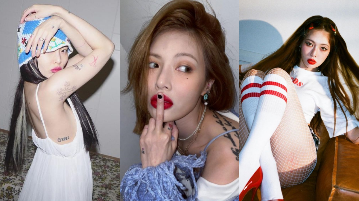 全新 角度 展现 腐团儿 禁忌 魅力 无穷